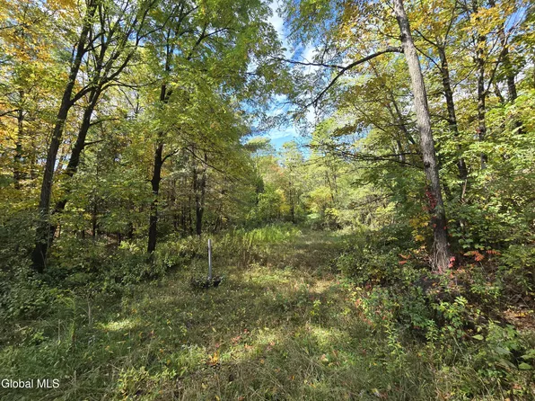 355 Grange Road, Greenfield Center, NY 12833