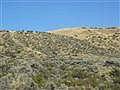 3rd image of 67 Corral Creek Dr Lot 18