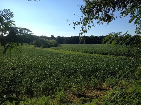 adjacent farm