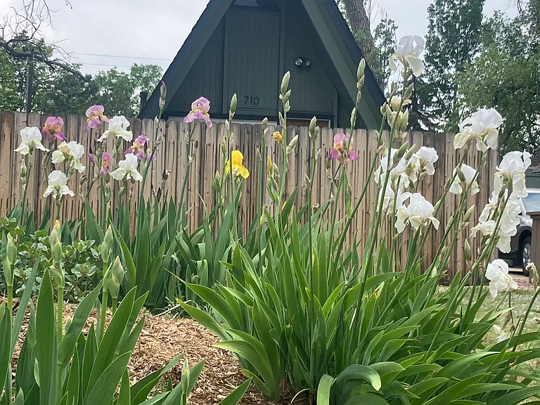 710 Crescent Dr — Photo 14
