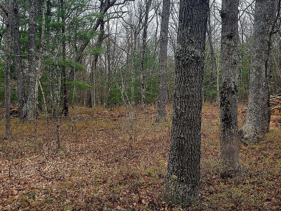 2nd image of Oakwood Blvd