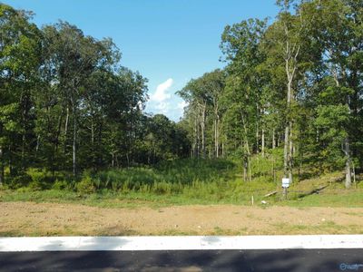 60 Watson Grande Way, Owens Cross Roads, AL, 35763