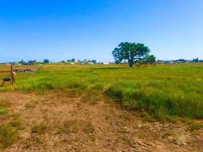 1561 Goose Creek Rd, Ione, CA, 95640