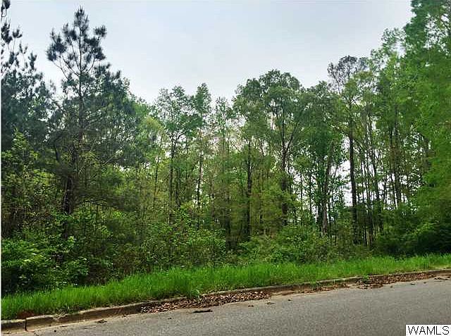 2nd image of 5433 Woodland Forrest Dr