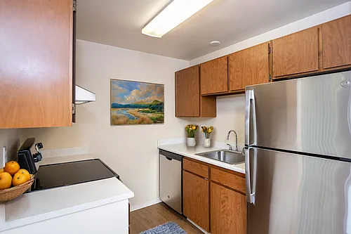 Floor plan 1 Bedroom