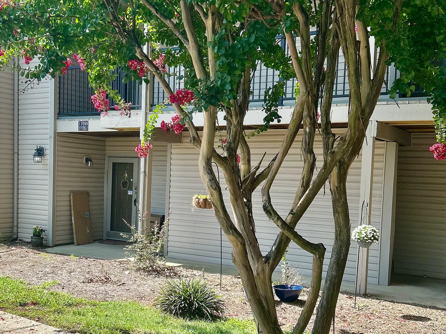2 bed, 974 sqft, $1,495 — Photo 2