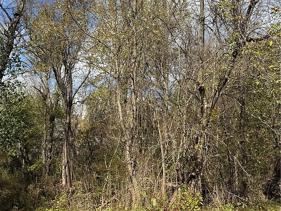 5th image of Harding St