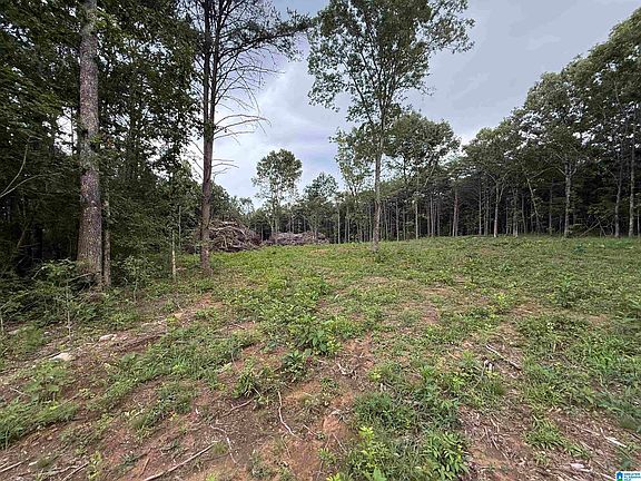 4th image of 55 Mountain Brow Dr #1