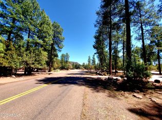 87 N Mistletoe Dr #87, Pine, AZ 85544