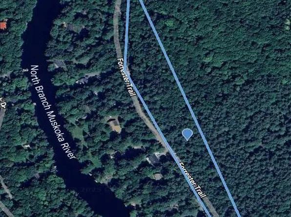 1019 Forrester Trl, Bracebridge, ON P1L 1W9