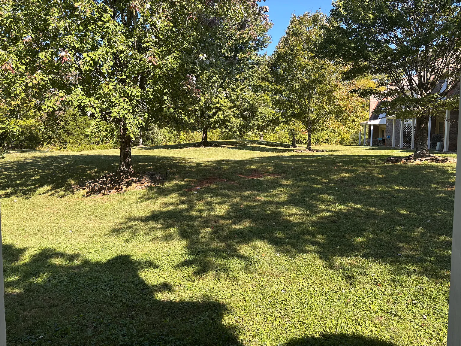 2 bed, 1226 sqft, $1,800 — Photo 2