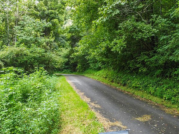 4th image of Hawk Ln