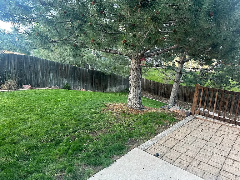 7955 Manston Dr — Photo 21