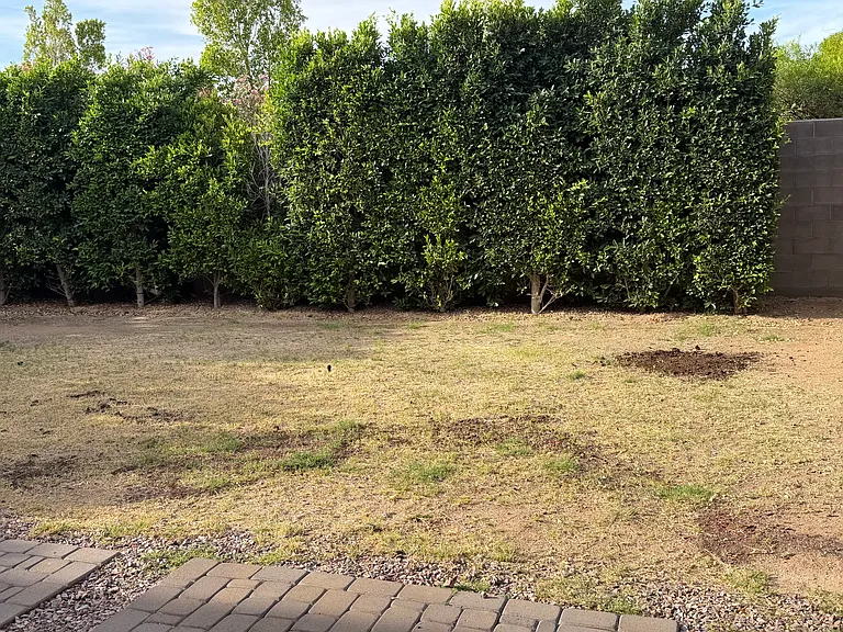4649 E Daley Ln — Photo 47