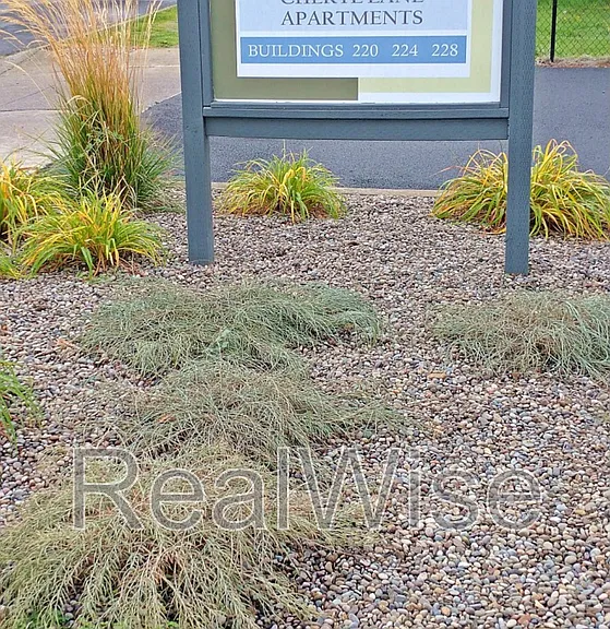 228 Cheryl Ln #13 — Photo 20