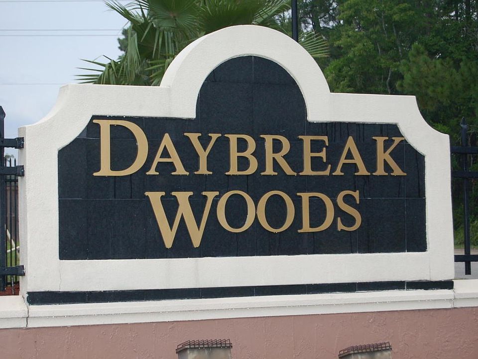 Daybreak Woods