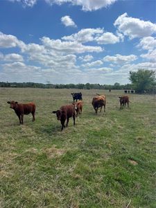 12716 Fm 59, Athens, TX, 75751