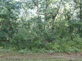 Snyder Rd, Wellston, MI 49689