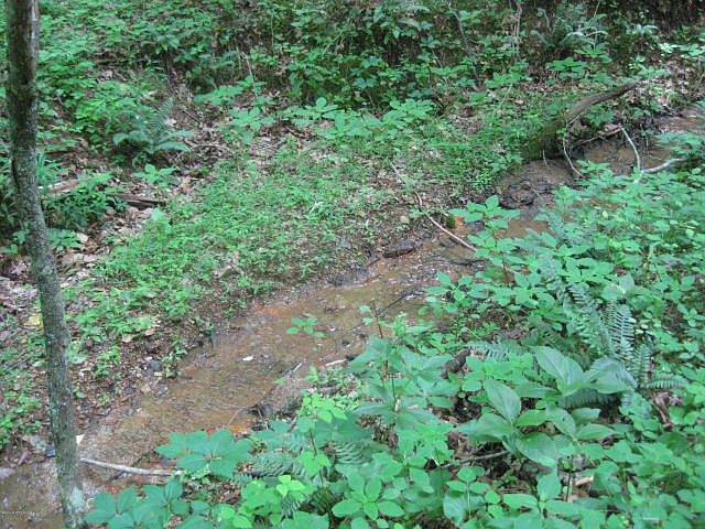 1st image of Craigs Mtn. Rd