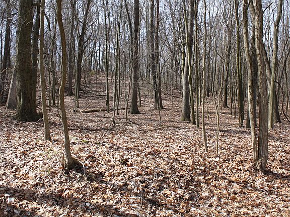 4th image of 3080 Dogwood Trl