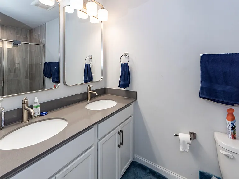 513 Green Fern Dr — Photo 17