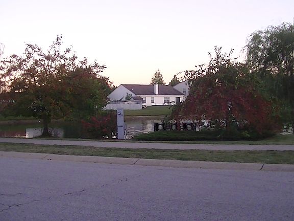 View of pond from house