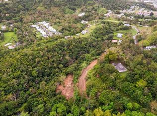 State Highway 796, Caguas, PR 00725