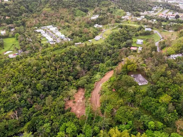 State Highway 796, Caguas, PR 00725