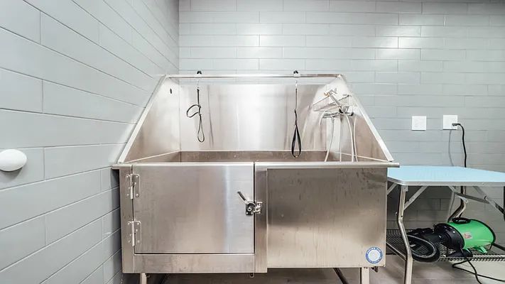 Rented by Nooklyn NYC LLC | media 40