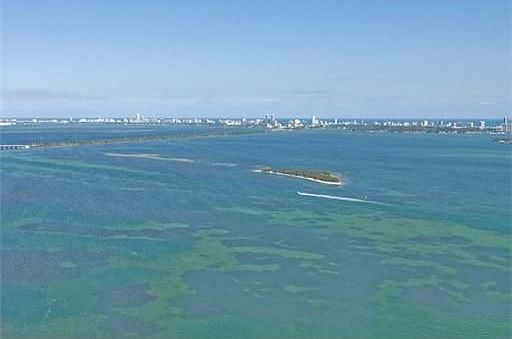 Another showcase property from Zilbert International Realty - Zilbert Realty Group, Miami Beach