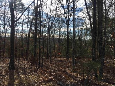 1339 Union Hill Rd, Pleasant Plains, AR, 72568