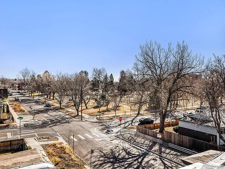 Dog park across the street