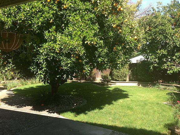 4th image of 2336 Ben Hur Ct