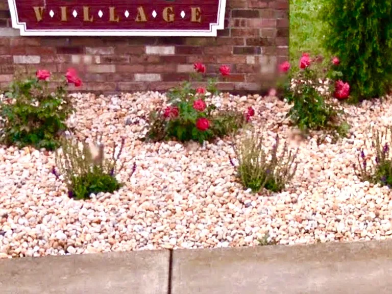 607 Lily Ct — Photo 14