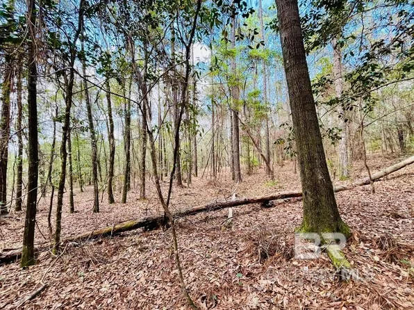 2 Phillipsville Rd, Bay Minette, AL 36507