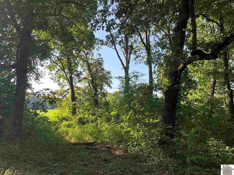 1st image of Lots 4 & 5 Jones Sparkman Rd #4