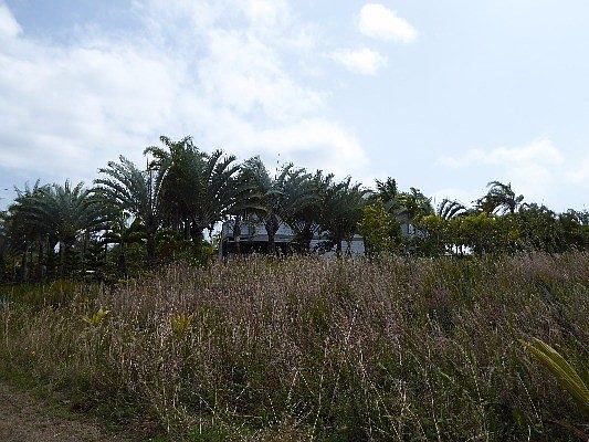 3rd image of 12-117 Oliana Dr #16