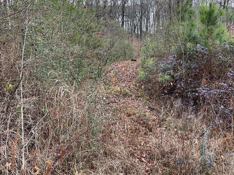 2nd image of Eldridge Ln SW