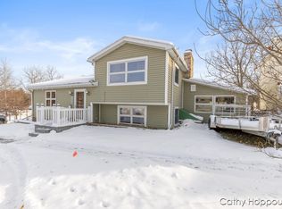 220 N Maple Ave, Maple Rapids, MI 48853