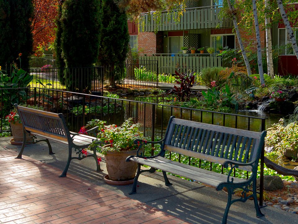 Courtyard, pond and fountain