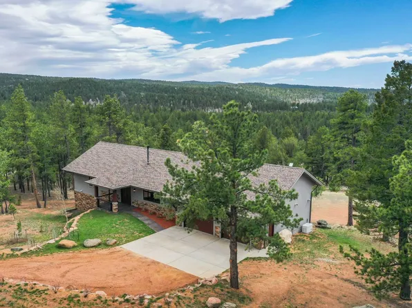 2754 County Road 421, Florissant, CO 80816