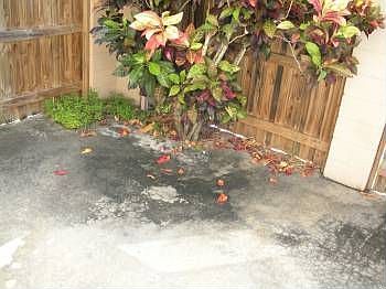 4th image of 1550 70th St N