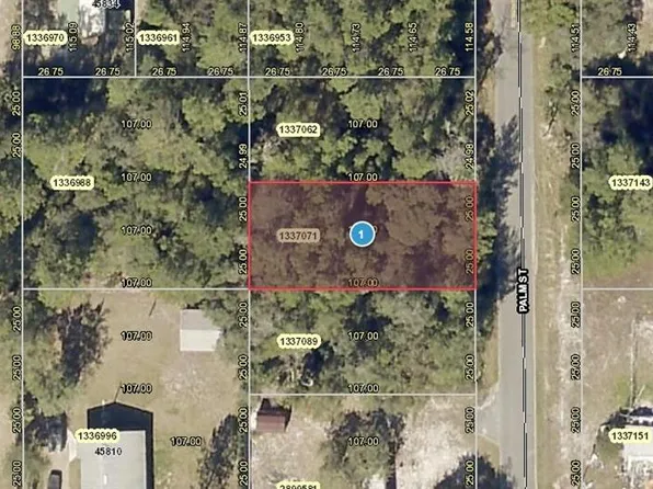 Palm St, Paisley, FL 32767
