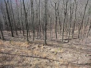 2nd image of 101 Deer Run #6304