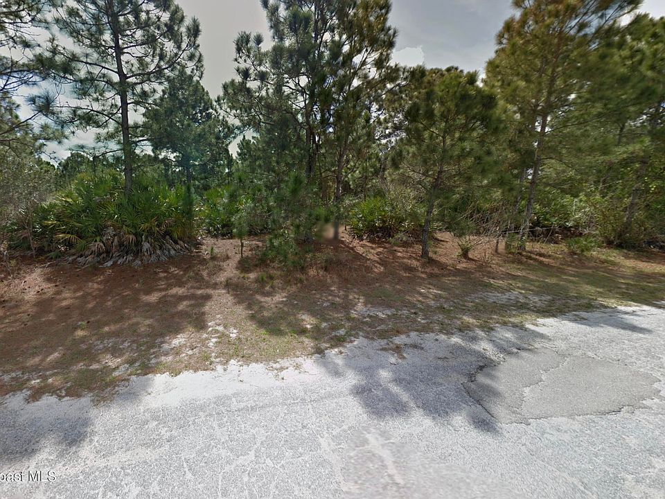 2nd image of 0 Paigo St SE