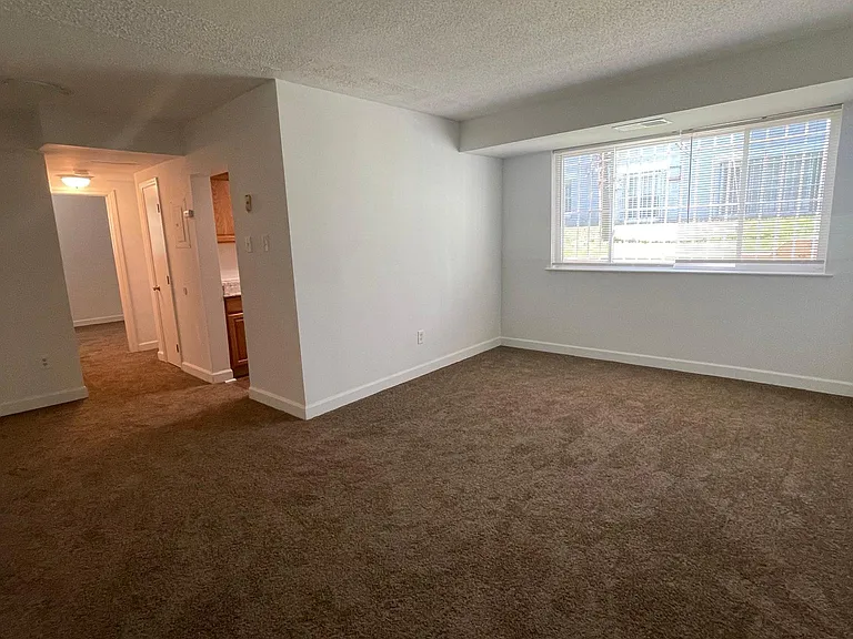 742 Brandywine St SE #B1 — Photo 5