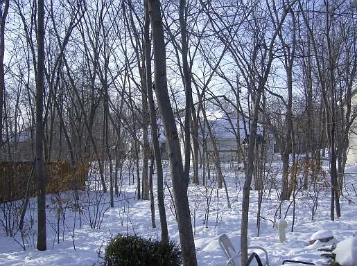 Maple Knoll Way NW — Photo 15