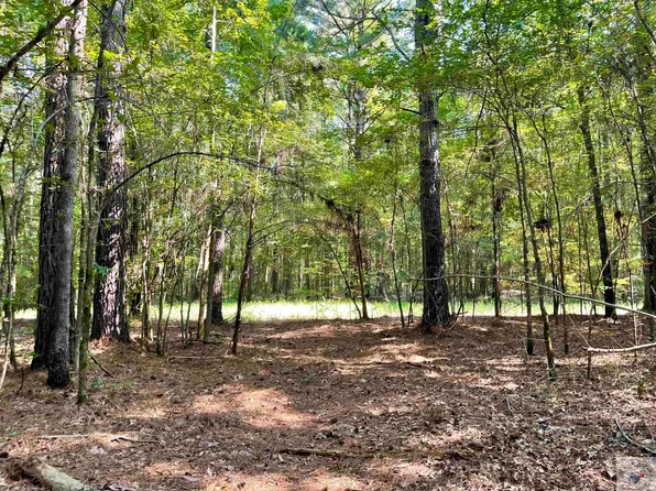 Fm 1766, Naples, TX 75568