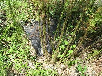 Photo of Mobile Home Lot