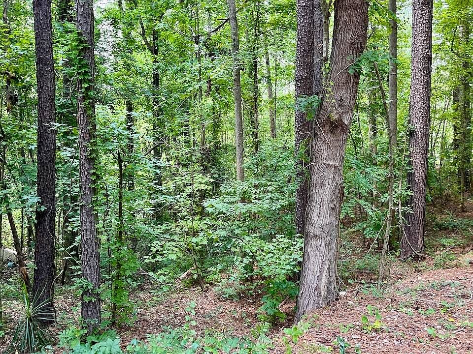 2nd image of 237 Dubard Boyle Rd